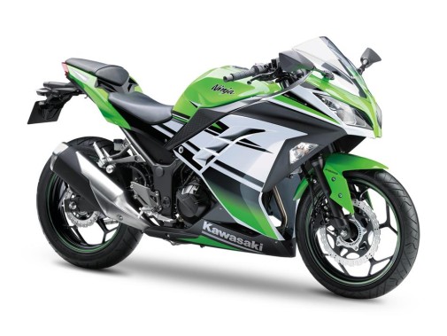 Motos-Elche-Kawasaki-Ninja-30th